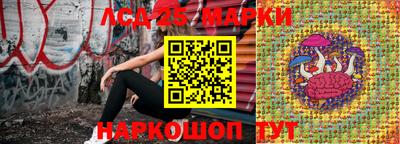 шишки Гагарин