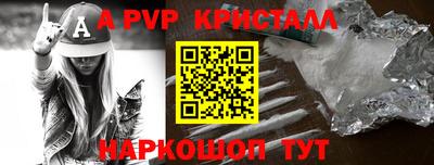 шишки Гагарин