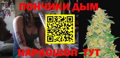 шишки Гагарин