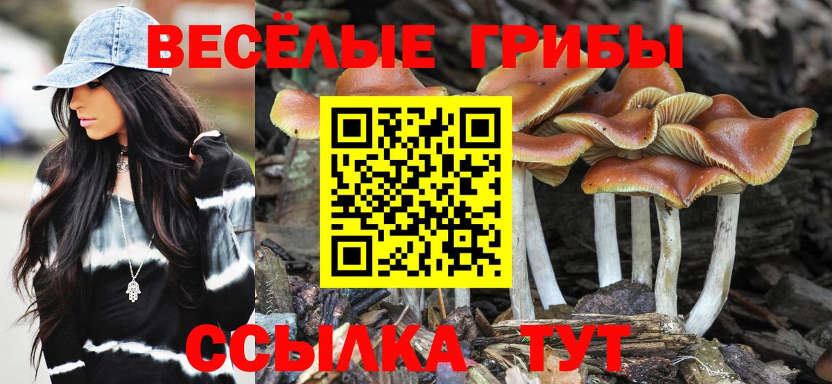 Псилоцибиновые грибы Psilocybine cubensis Вязьма